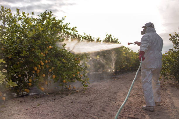 Best Bed Bug Extermination  in Liberty, SC