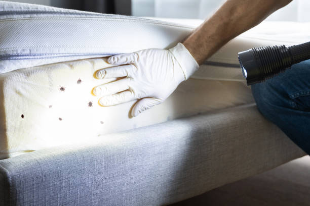Best Best Pest Control Near Me  in Liberty, SC
