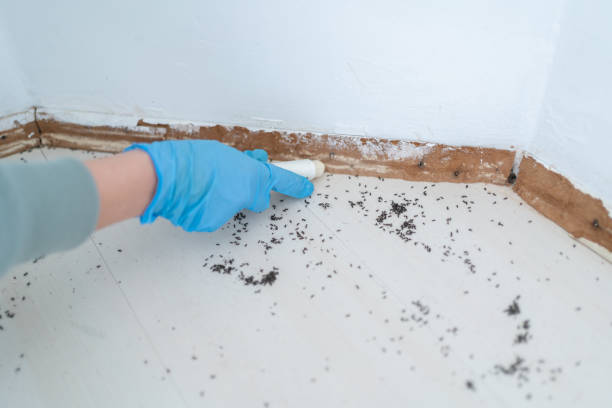 Best Emergency Pest Control  in Liberty, SC