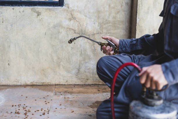 Best Termite Control Services  in Liberty, SC